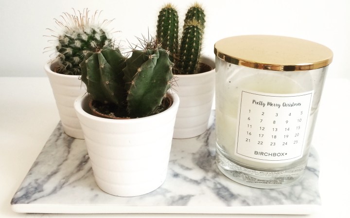 mini cactus ikea planche marbre h&m home bougie birchbox