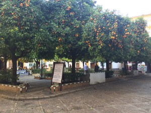 weekend voyage séville espagne andalousie lieux à voir visites restaurants que faire