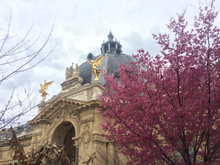 terrasse jardin café restaurant petit palais paris