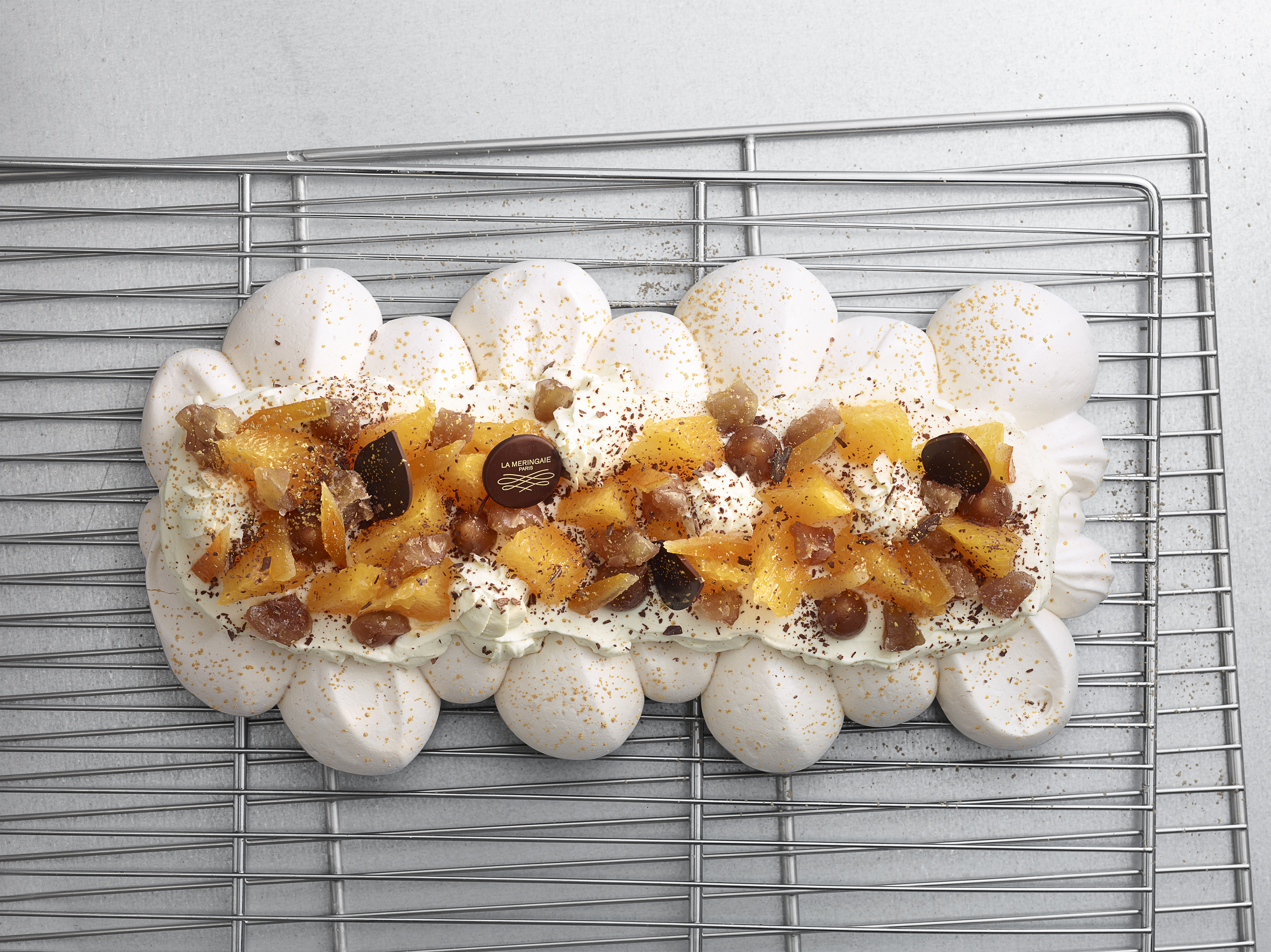 Buche Sophie _ Vue du haut sur grille.jpg