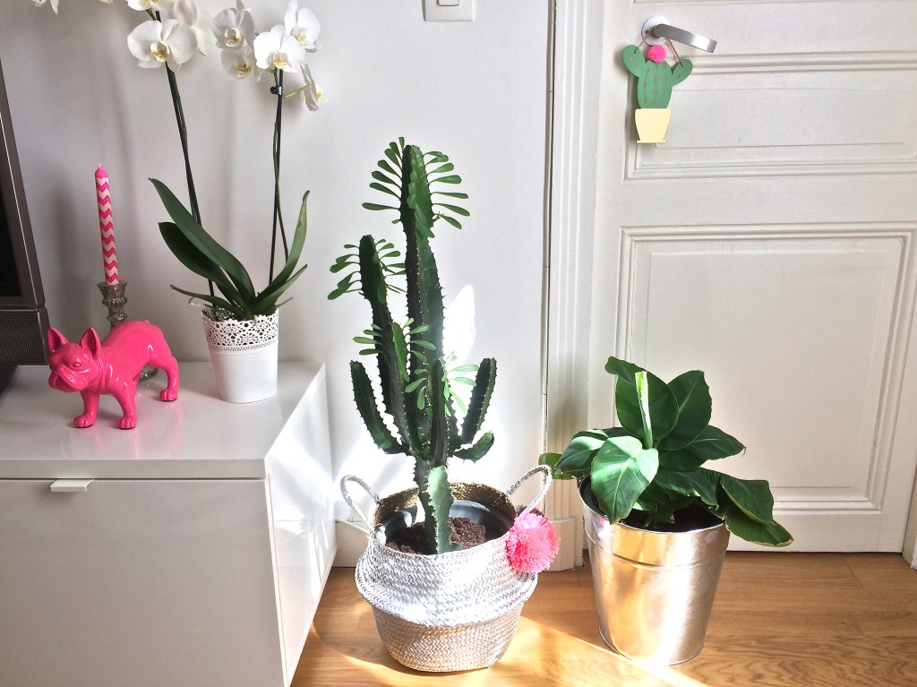 Haul déco : Primark, H&M Home &&nbsp;Action