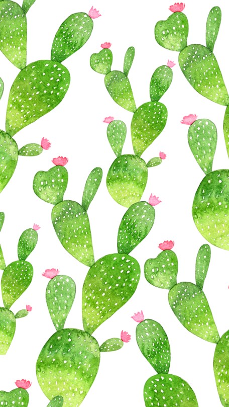 background-multi-cactus-mood