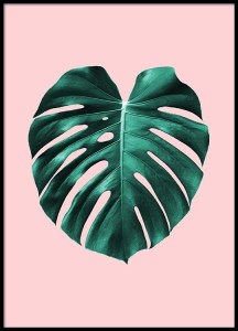 desenio décoration site affiches cadres tendance