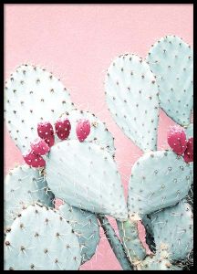 desenio décoration site affiches cadres tendance cactus rose