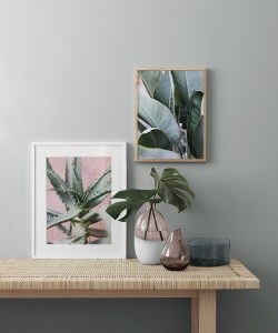 desenio décoration site affiches cadres tendance inspiration