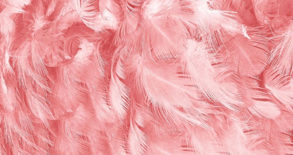 10 fonds d&rsquo;écran texture pour&nbsp;smartphone