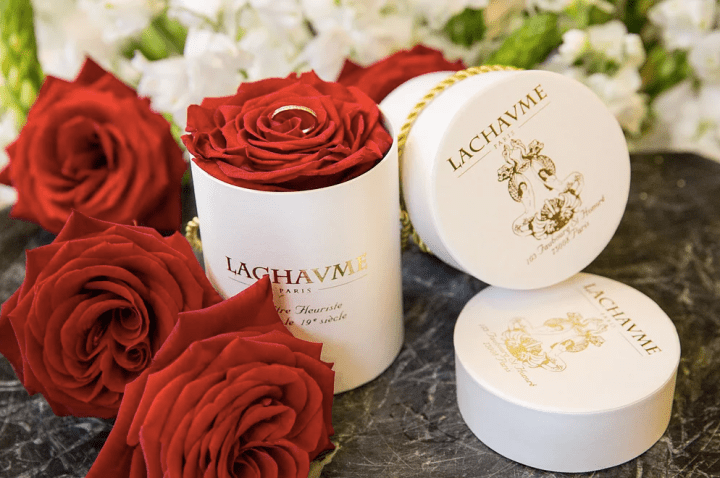 Capture d’écran 2019-05-17 à 11.32.49.png