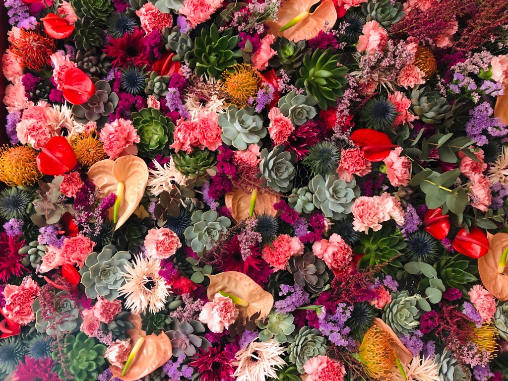 Favoris de février&nbsp;2020