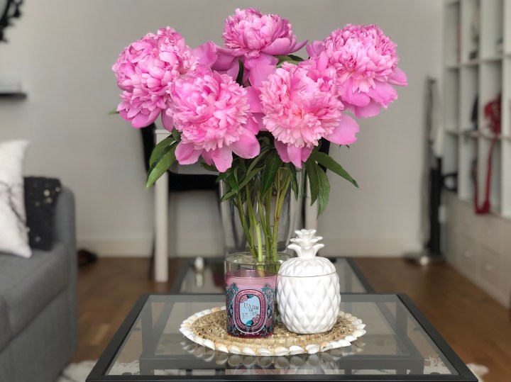 Favoris de mai&nbsp;2020