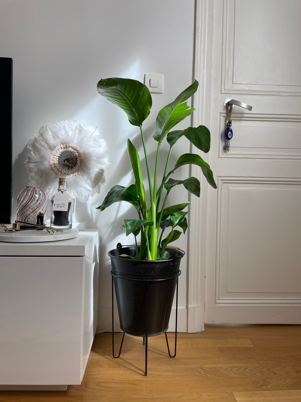 Favoris de mars&nbsp;2023