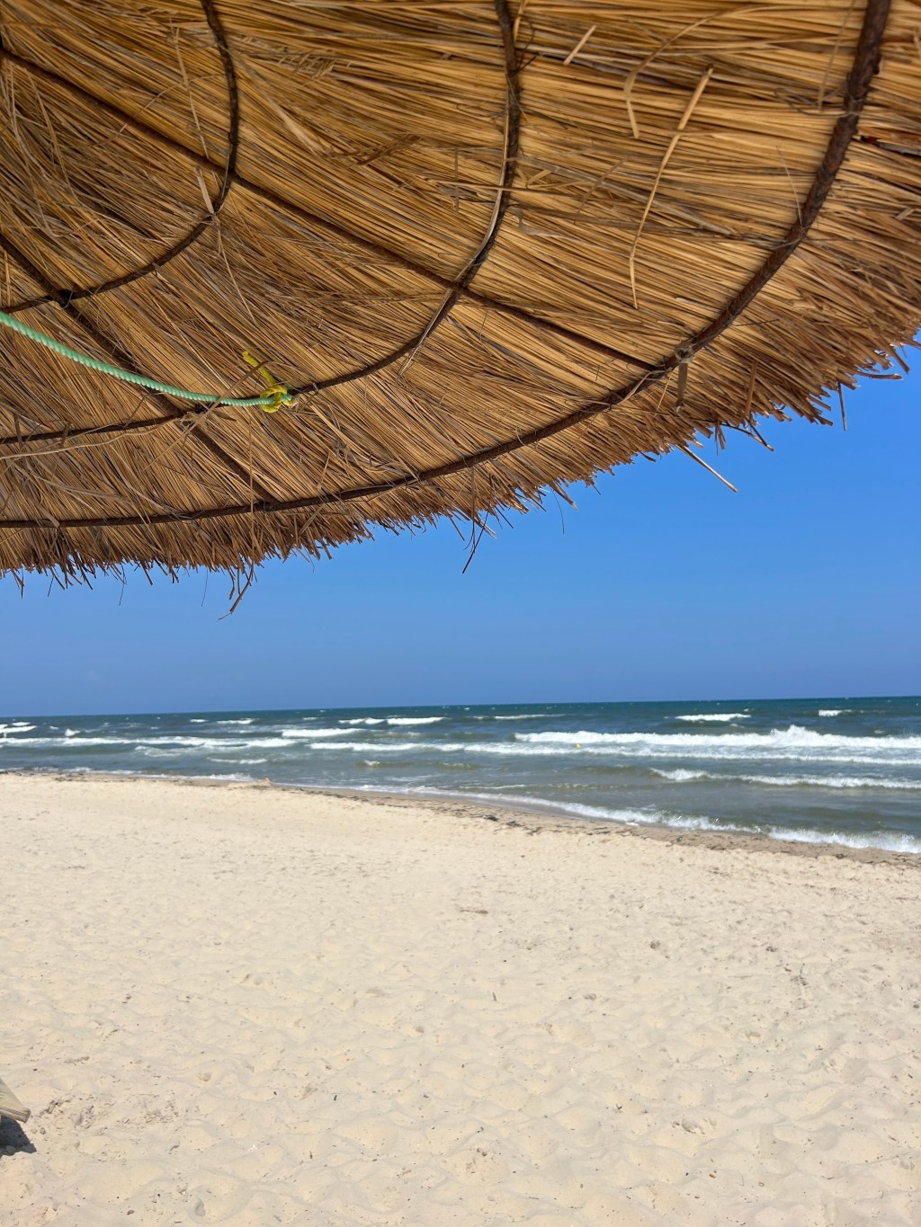 Favoris d’août 2023